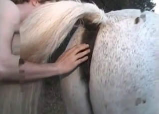 White horse enjoying bestiality
