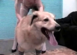Kinky zoophile fucks a sexy-ass dog