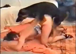 Hot pussy gets fucked by a horny dog